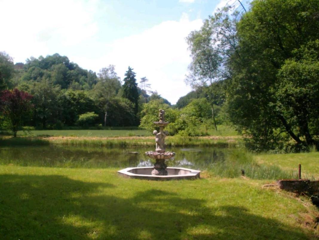 Propriete Bordee D'Etangs, Propice A La Detente Florenville Extérieur photo
